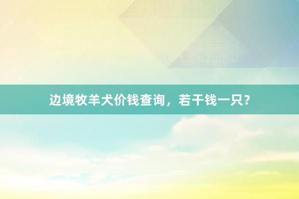 边境牧羊犬价钱查询，若干钱一只？