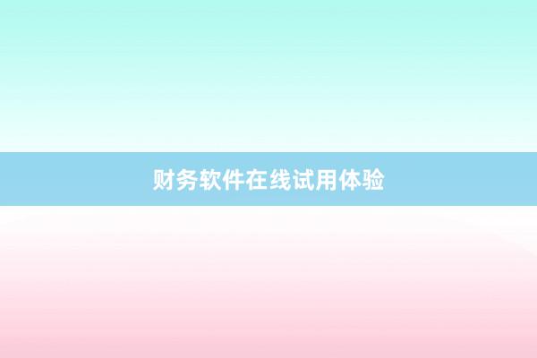 财务软件在线试用体验